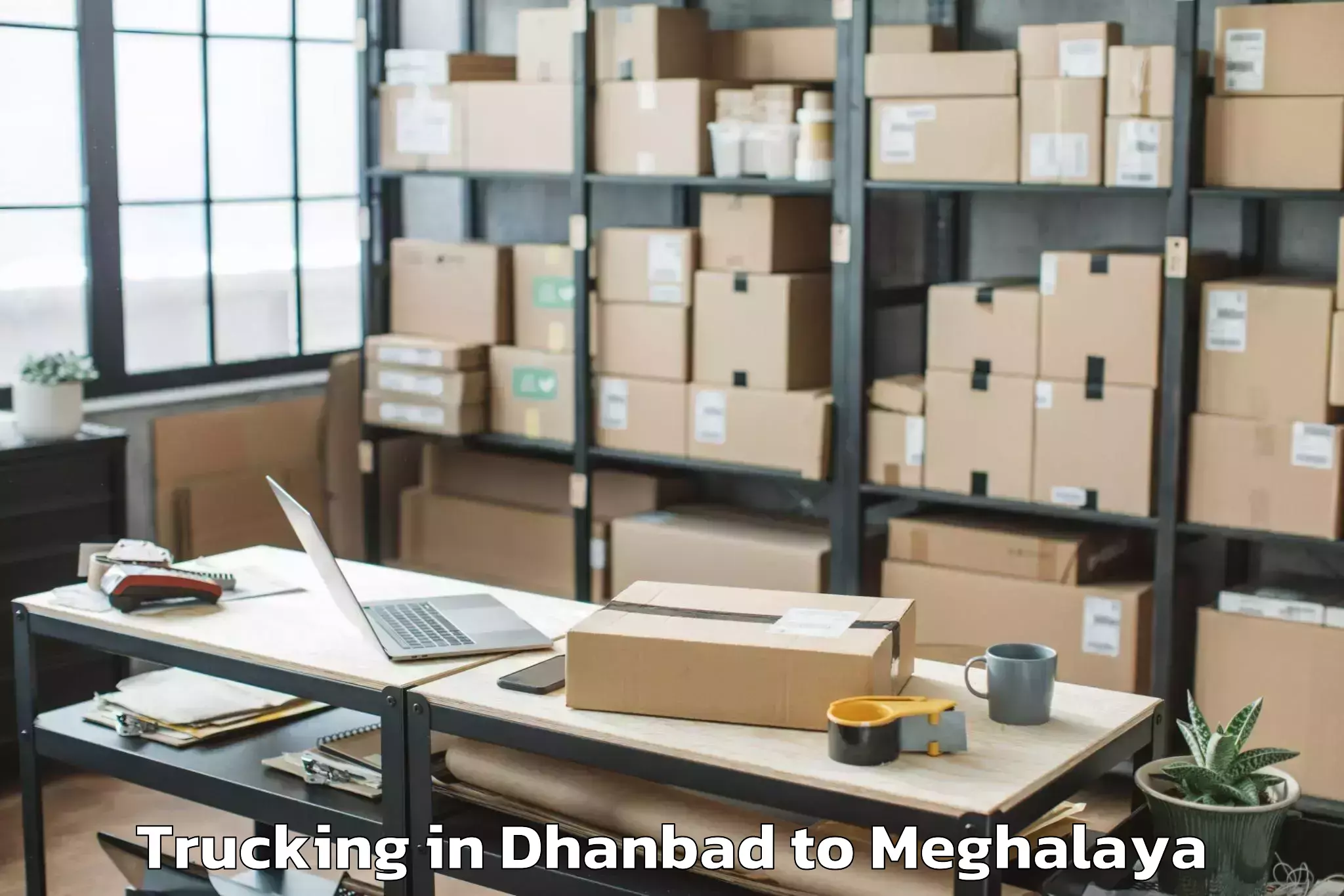 Book Dhanbad to Nongstoin Trucking Online